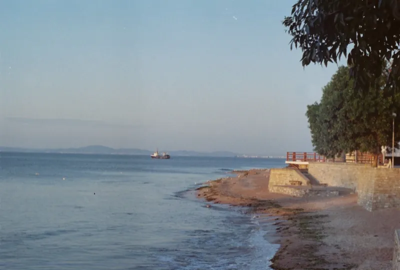 Seafront at dawn on film: calm pale-blue water, a small ship on the horizon, a curved sandy shore with stone steps and trees